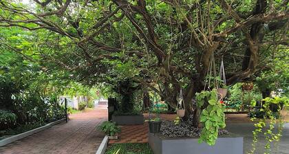 Kerala Traditional 2 bedroom home with AC in charming green surrounding in Kochi