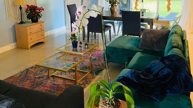 A living room with a teal sofa, a coffee table, a potted plant, and a dining area with a table and chairs. - 3-bedroom house in Miami with large yard, jacuzzi and mango tree’s. (Miami)