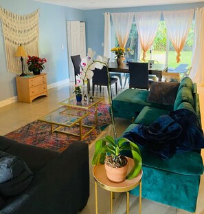 Un salon avec un canapé de couleur turquoise, une table basse, une plante en pot et un coin repas comprenant une table et des chaises.