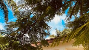 A single-story building with a flat roof, a front porch with steps, and a door with a window. - 3-bedroom house in Miami with large yard, jacuzzi and mango tree’s. (Miami)