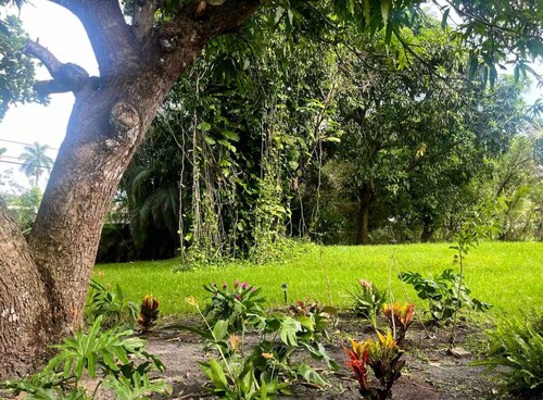 3-bedroom house in Miami with large yard, jacuzzi and mango tree’s.