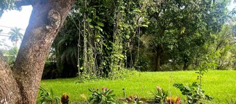 3-bedroom house in Miami with large yard, jacuzzi and mango tree’s.