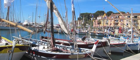 Marina
