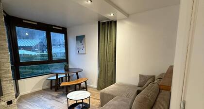 Appartement 1 chambre rénové