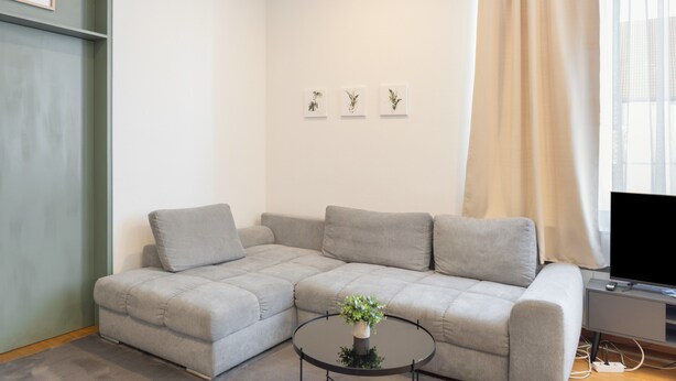 A living room with a grey sofa, a small round table with a plant, and a television on a stand. - Apartment '2' with Wi-Fi (Bad Kissingen)