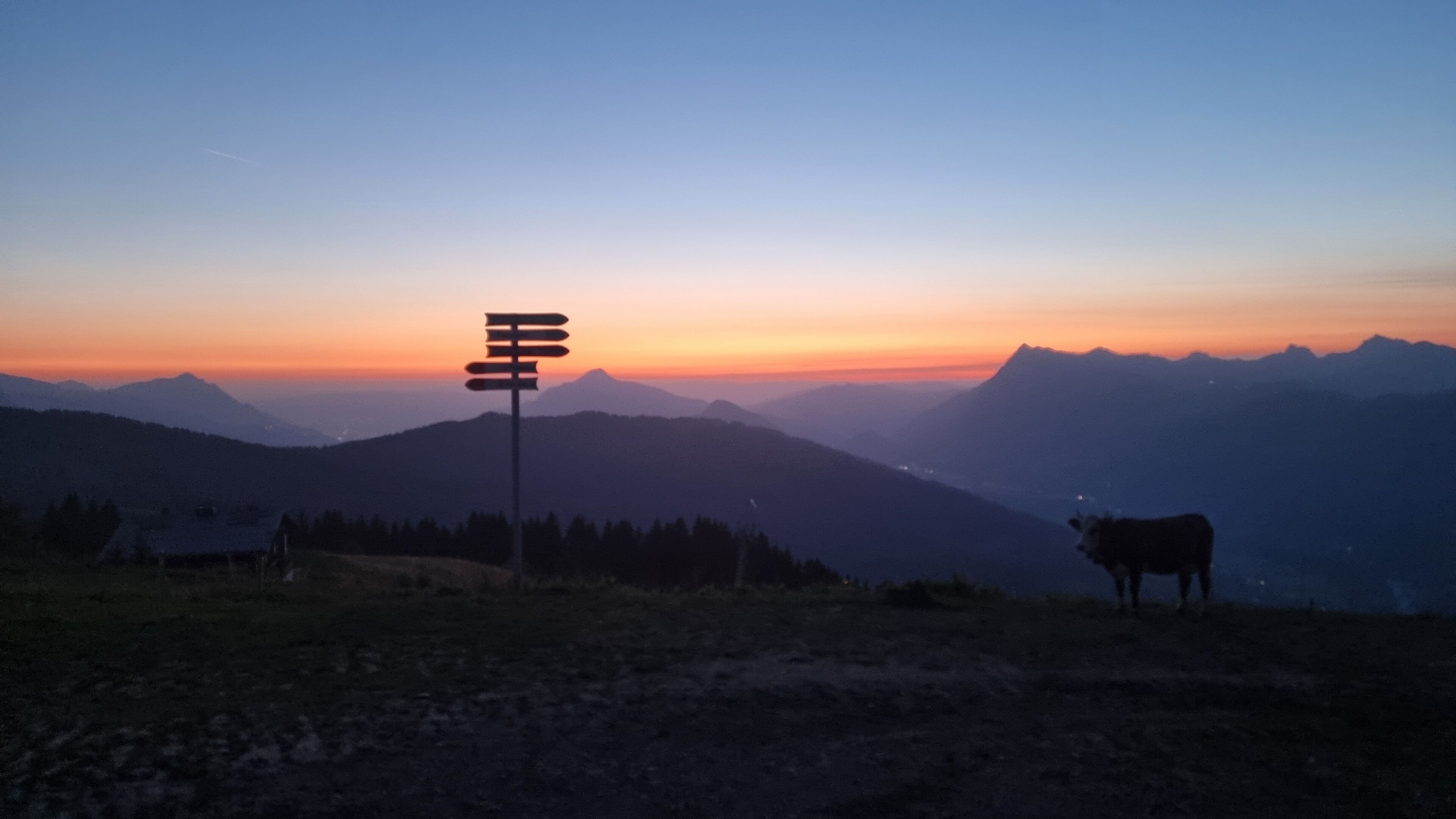 A mountain landscape at sunset with a directional sign and a cow in the foreground.
