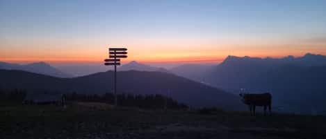 A mountain landscape at sunset with a directional sign and a cow in the foreground.