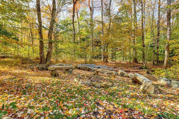 A forest scene with a stone pathway and scattered rocks. - Serene Getaway w/ Trail Access in Chester Springs (Chester Springs)