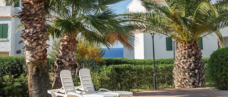 テラス / パティオ