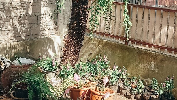 House, 3 Bedrooms, Balcony, Mountain View | Garden - Soap Baker House in Chiangmai (Chiang Mai)