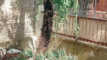 Rumah, 3 kamar tidur, balkon, pemandangan gunung | Taman
