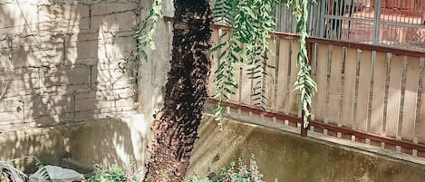 Nhà, 3 phòng ngủ, ban công, quang cảnh núi | Vườn