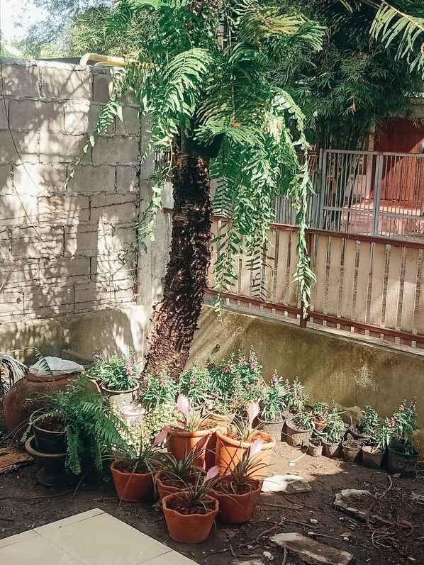 House, 3 Bedrooms, Mountain View | Garden