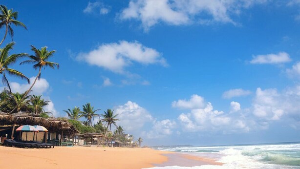A beach with palm trees, a hut, and a clear blue sky. - Cinnamon Tree Resort Akurala-Hikkaduwa (Madampagama)