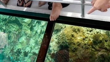 Ranta lähistöllä, valkoista hiekkaa