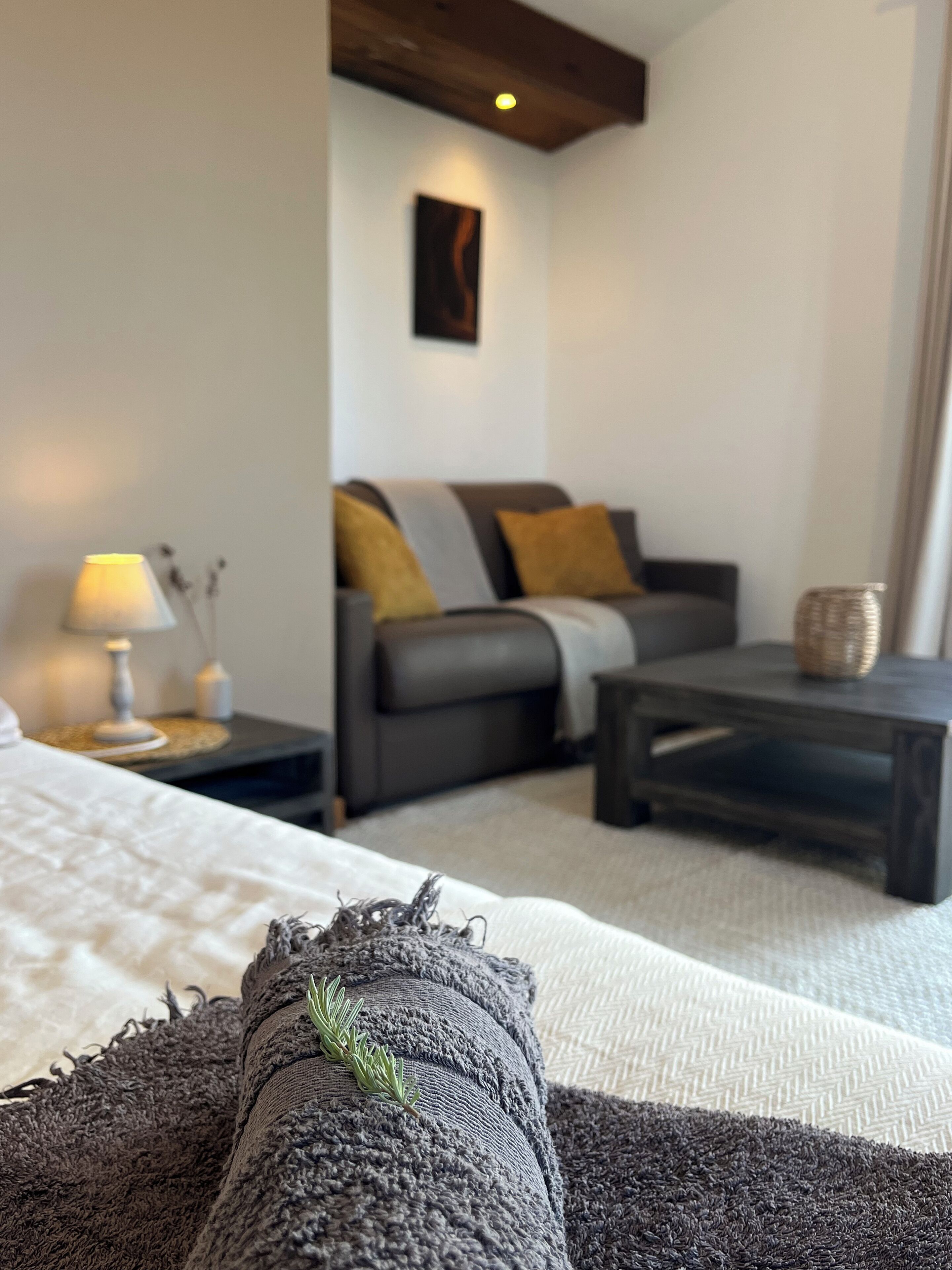 Una televisión, libros