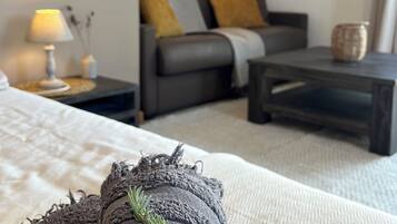 Una televisión, libros