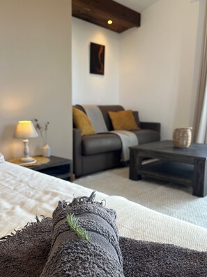 Télévision, livres