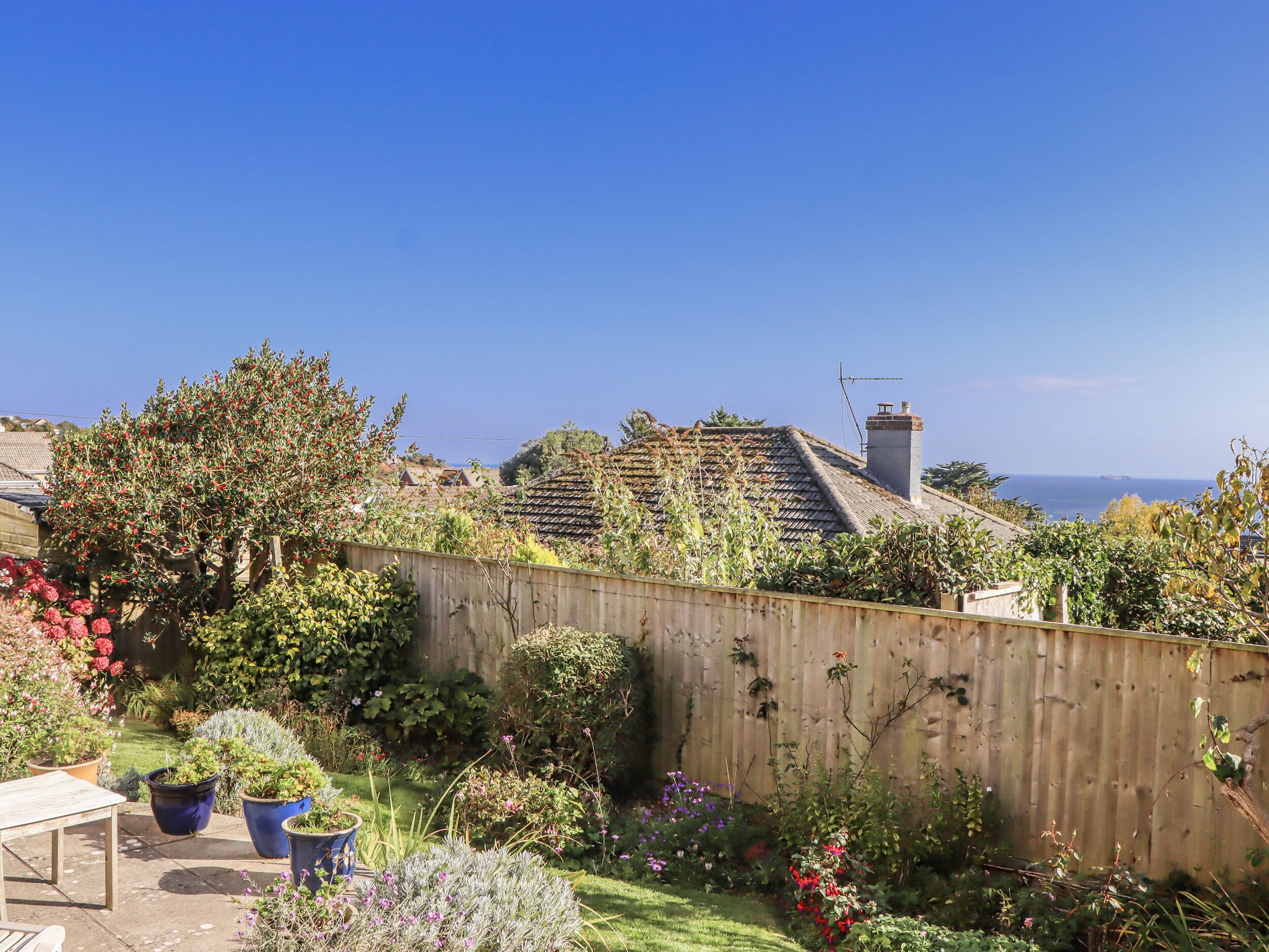 テラス / パティオ