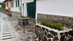 Una calle residencial con casas, un camino de piedra y un portón verde.