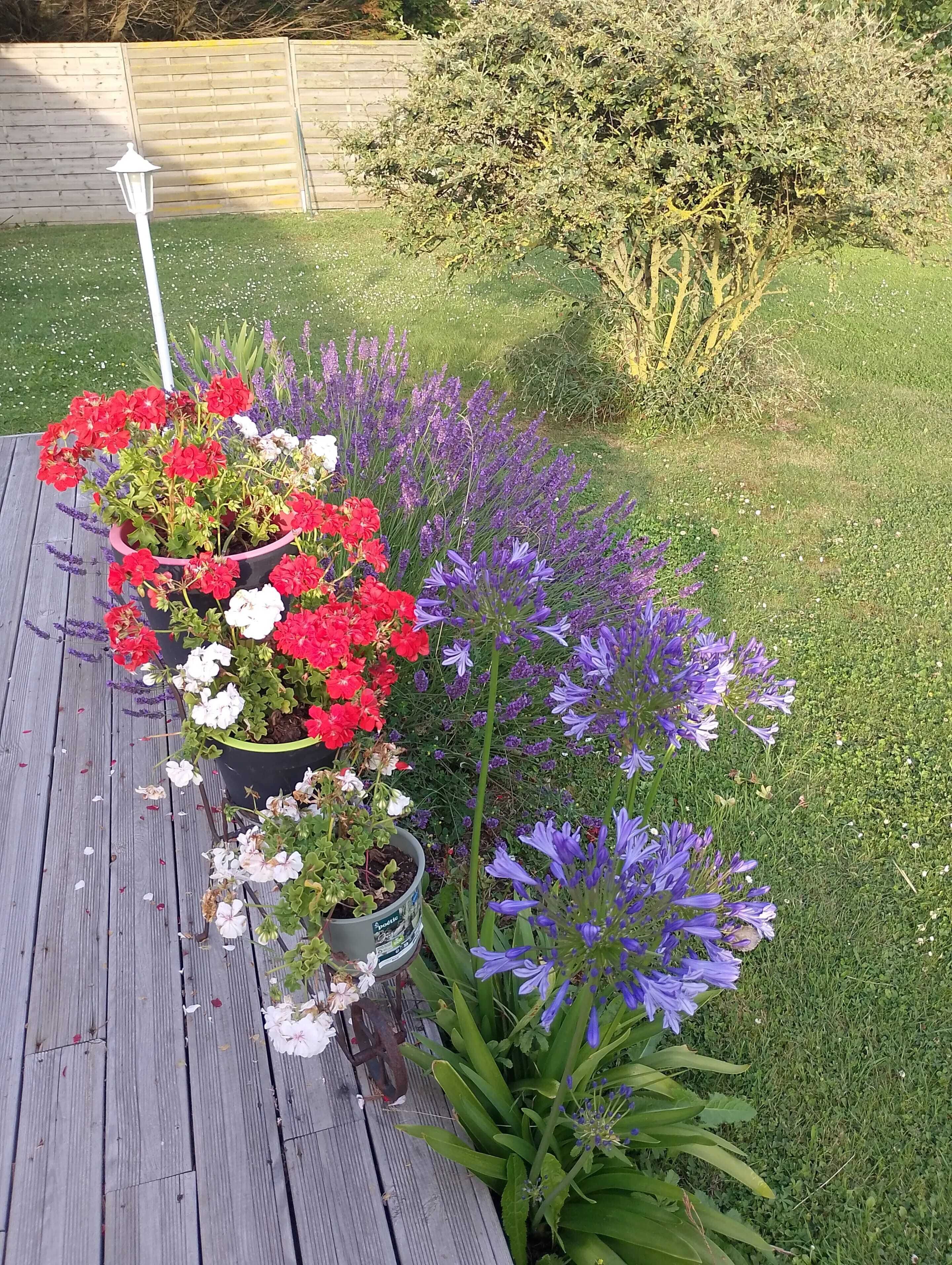 Áreas de la propiedad