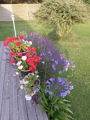 Property grounds - Homerez - Apartment Cayeux-sur-Mer (Cayeux-sur-Mer)