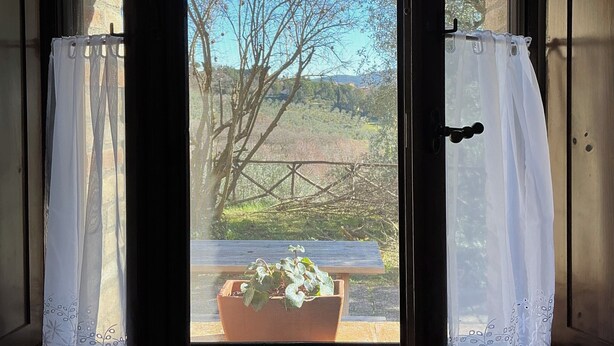 A window with a view of a tree and a wooden bench outside. - Farmhouse Il Mulino delle canutole - Il Granaio (Magione)