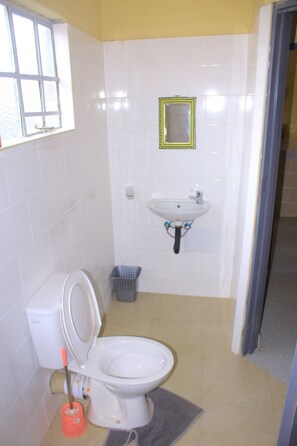 シャワー、タオル、石鹸、トイレットペーパー