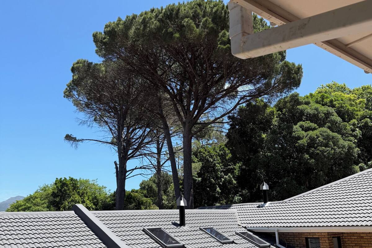 Penthouse Deluks, pemandangan gunung | Setrika/meja setrika dan Wi-Fi gratis