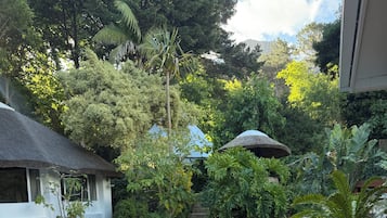 Área de parrilladas y picnic