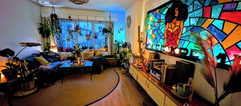 Spacious apartment full of life in the form of many plants and a cat!