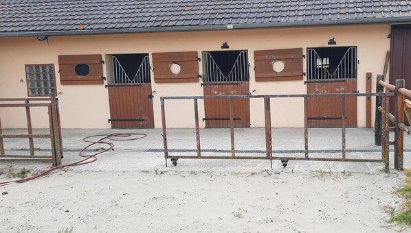 Àrea exterior de l'allotjament