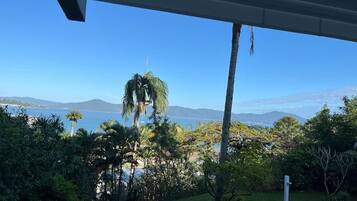 Apartamento básico | Área da propriedade