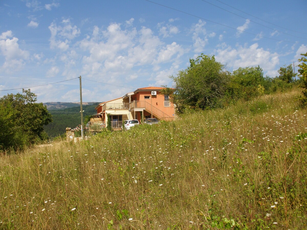 Image de profil de l’hôte