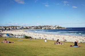 A beach with people sunbathing and swimming, a grassy area in the foreground, and buildings in the background. - Elegance in Darling Point (Darling Point)