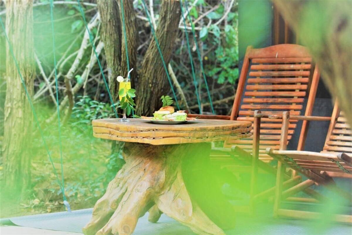A rustic wooden table with a plate of food and a drink, set against a backdrop of greenery and a wooden chair.