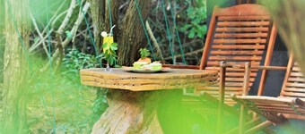 Podi Hoona Yala Safari Camp