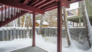 公寓式客房, 多张床, 阳台, 山景 (Skiway Chalet) | 客房景观