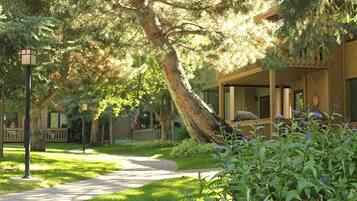 Detalle del exterior