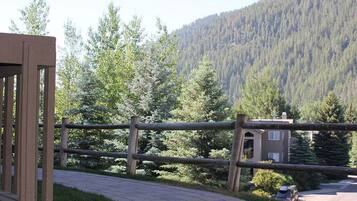 Apartamento, varias camas, balcón, vistas a la montaña (Sun Valley Condo 113) | Vistas desde la habitación