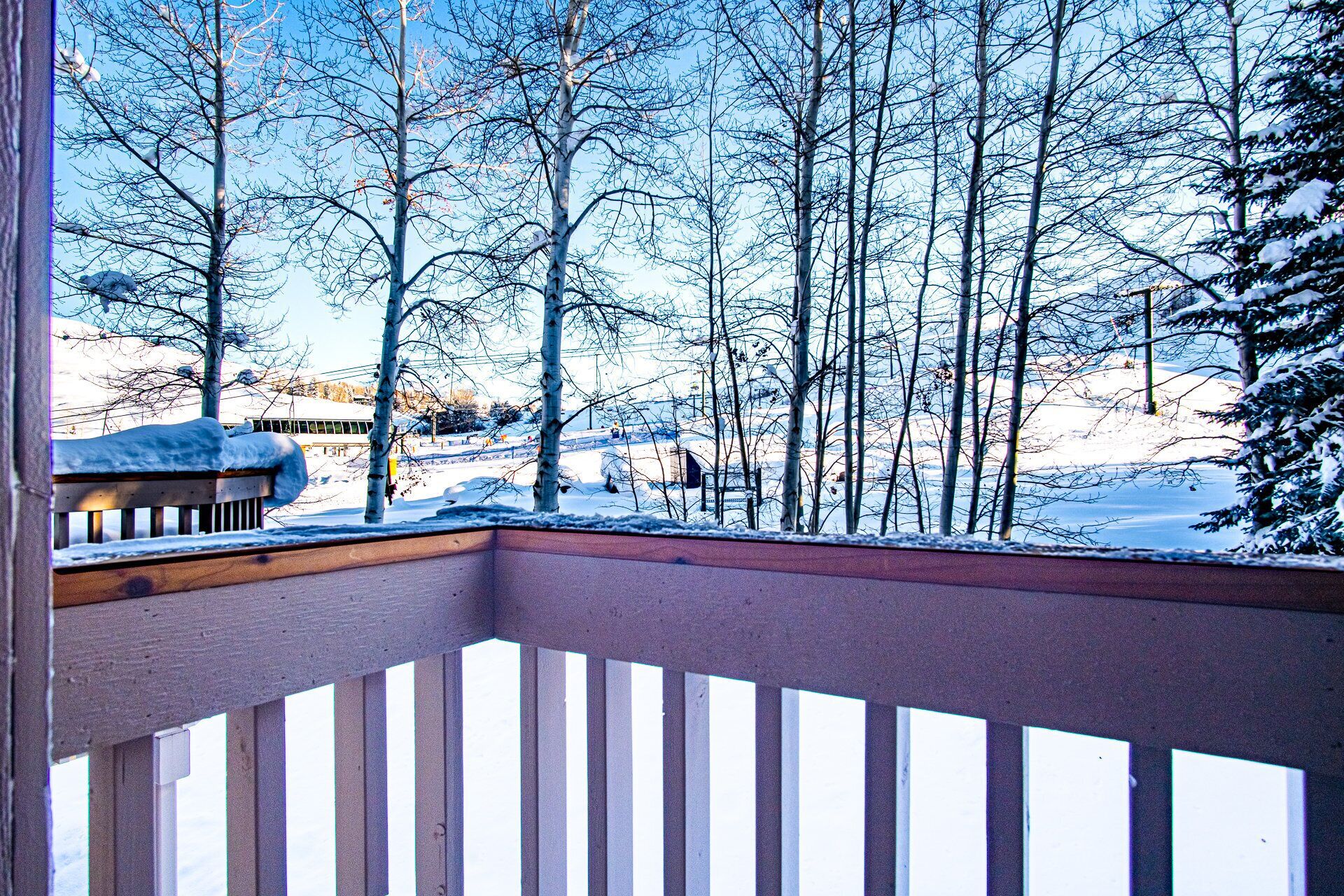 Appartamento, letti multipli, balcone, vista montagna (Snow Creek Condo 1553) | Vista dalla camera