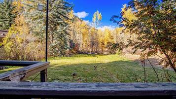 House, Multiple Beds, Patio, Mountain View (Bigwood Bliss) | View from room