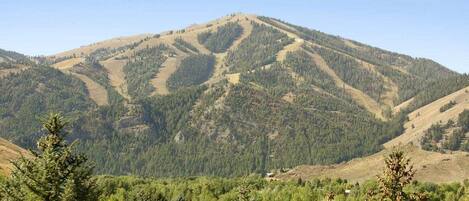 Un paysage montagneux, avec de vastes forêts et un ciel dégagé.