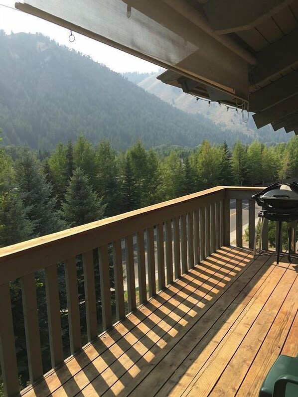 Leilighet, flere senger, terrasse, fjellutsikt (Sun Valley Condo 112) | Utsikt fra rommet