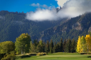Golf - Sv137 - Walk to Lifts & Town - Hot Tub & Pool (Ketchum)