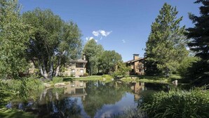 Ein stiller Teich mit Spiegelungen von Bäumen und Gebäuden, umgeben von üppigem Grün und blauem Himmel.