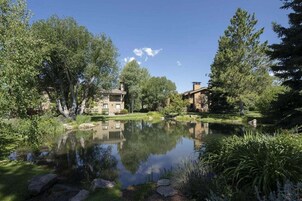 Un estanque sereno refleja árboles y edificios, rodeado de abundante vegetación y un cielo despejado.