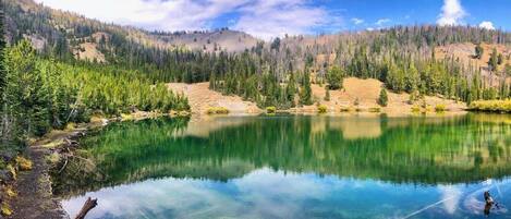 Un lago de montaña cristalino rodeado de un bosque frondoso.