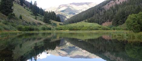 Lago