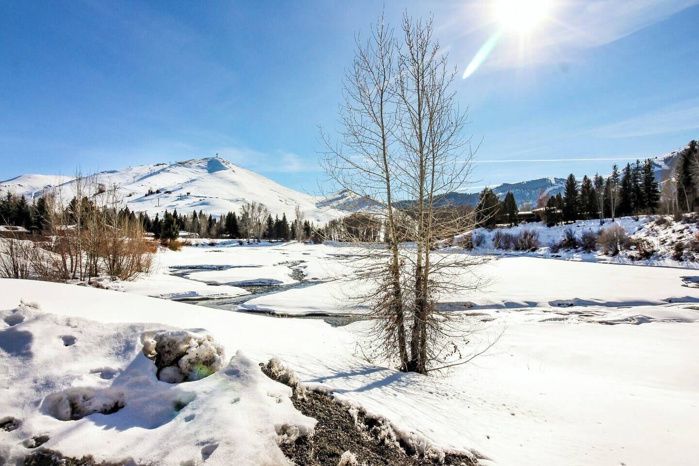 Ett snötäckt landskap med en klar himmel, ett berg i bakgrunden och ett ensamt, lövfritt träd i förgrunden.